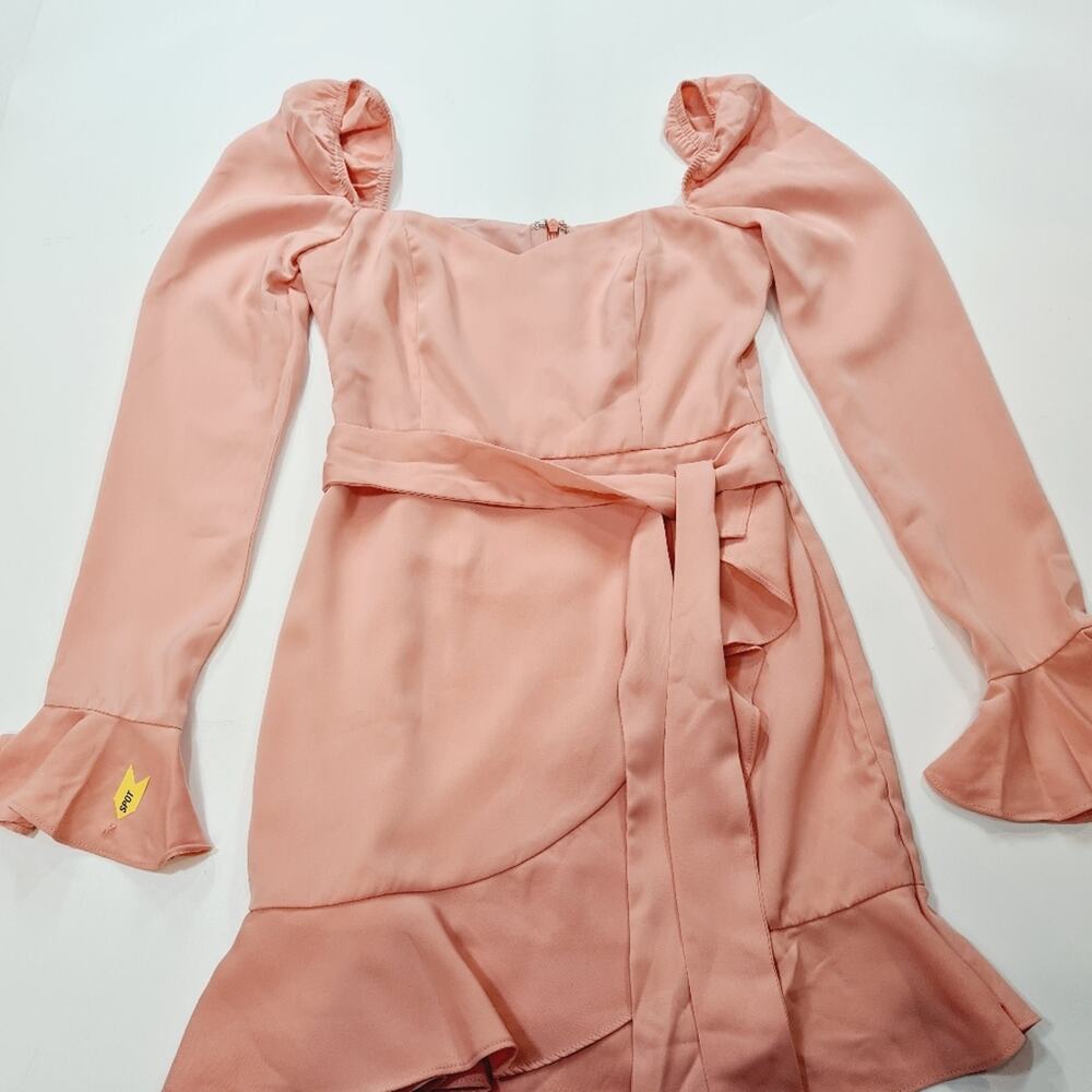 MORE TO COME Khloe Ruffle Sleeve Mini Dress in Blush XS - Picture 2 of 14